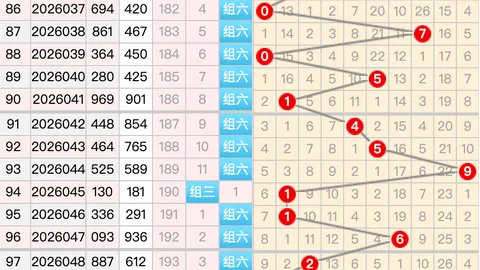 福彩3D第2026050期小梁分析：前区十码质合解读