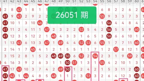 第2026047期 大乐透2026047期专家奇偶推荐及胆码