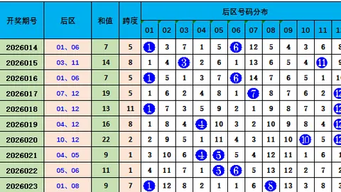 第2026052期 大乐透2026052期专家质合分析：正月