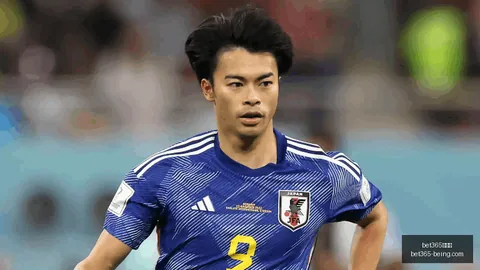 2026世界杯数据：胜率13胜11的秘密布局