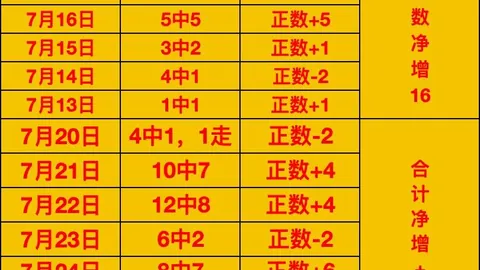 达拉斯飞翼与康涅狄克太阳对决bet365官方网站：深度数据分析
